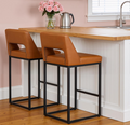 Counter Height Bar Stools Set of 2 for Kitchen Counter Modern Bar Chairs with Backs for Kitchen, Brown