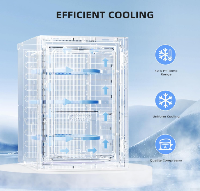 18L Beverage Refrigerator Cooler 24Can, Black